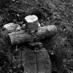 Glensheen Cemetery, Duluth, MN
