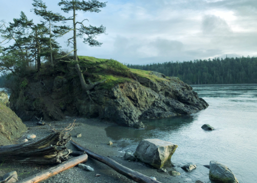 Photo from Deception Pass State Park