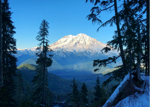 Photo of Mount Rainier