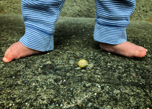 Photo of infant feet with small snail