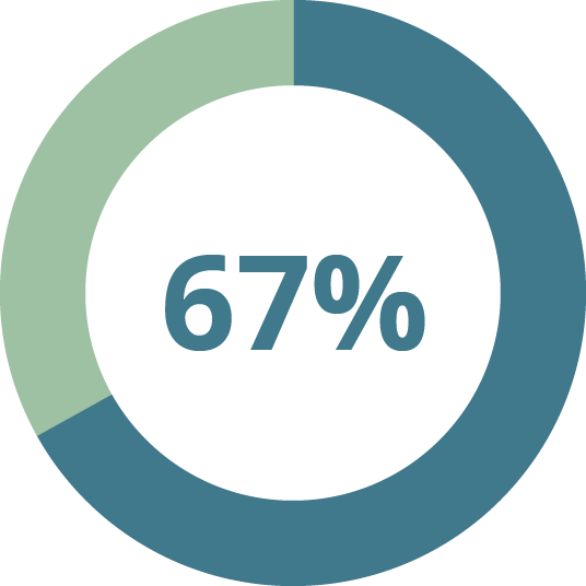 67 Percent Donut Graph